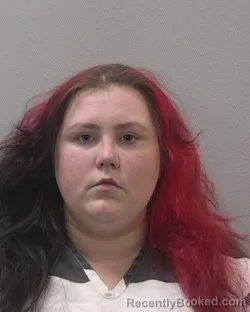 Mugshot of DALANA INEZ SUGGS booked in Lexington County, South Carolina on April 14, 2026