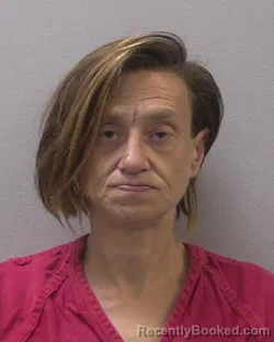 Mugshot of SUZANNA MARIE WISE booked in Lexington County, South Carolina on April 9, 2026