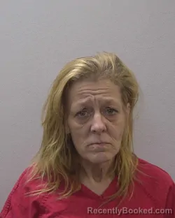 Mugshot of BETSY ANN MCDONALD booked in Lexington County, South Carolina on April 9, 2026