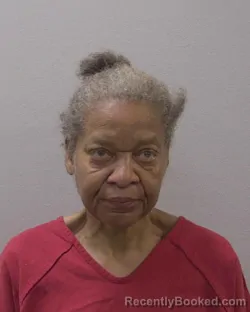 Mugshot of JUNE &nbsp; STROTHER booked in Lexington County, South Carolina on April 10, 2026