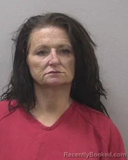 Mugshot of TAMMY RENEE VELLENGA booked in Lexington County, South Carolina on April 15, 2026