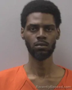 Mugshot of JAYNOVA DARRELLE NOBLE booked in Lexington County, South Carolina on April 16, 2026