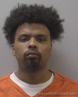 Mugshot of TYLER TYRONE BROWN booked in Lexington County, South Carolina on April 17, 2026