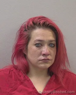 Mugshot of LYNN MARIE MCDONALD booked in Lexington County, South Carolina on April 20, 2026