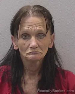 Mugshot of TAMMY LYNN BENNETT booked in Lexington County, South Carolina on April 22, 2026