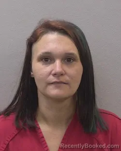 Mugshot of TIFFANY LEIGH METZE booked in Lexington County, South Carolina on April 24, 2026