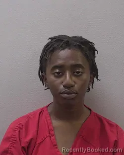 Mugshot of KESA JAWN MCMILLAN booked in Lexington County, South Carolina on May 15, 2026