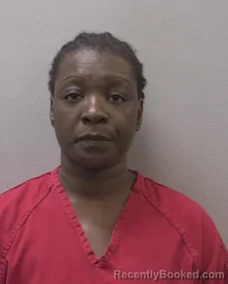 Mugshot of TANEISHA LAQUAN DAVIS booked in Lexington County, South Carolina on May 18, 2026