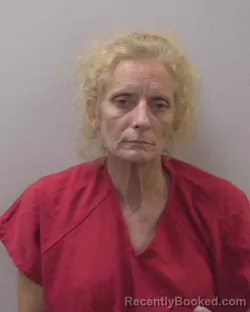 Mugshot of ROBIN DIANE SMITH booked in Lexington County, South Carolina on May 22, 2026