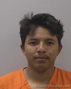 Mugshot of BAIRON RONEY HERNANDEZ CRUZ booked in Lexington County, South Carolina on May 23, 2026