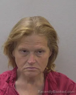 Mugshot of FELICIA GAYLE SCHWALL booked in Lexington County, South Carolina on May 23, 2026