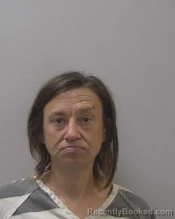 Mugshot of SUZANNA MARIE WISE booked in Lexington County, South Carolina on May 24, 2026