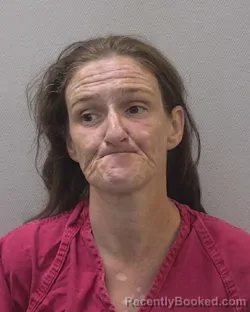 Mugshot of JAMIE RENEE SEIGLER booked in Lexington County, South Carolina on May 28, 2026