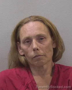 Mugshot of NICOLE LILLIE WILSON booked in Lexington County, South Carolina on May 30, 2026
