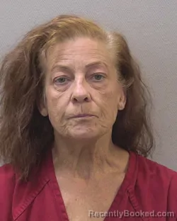 Booking photo from Lexington County, South Carolina