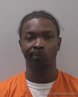 Booking photo from Lexington County, South Carolina