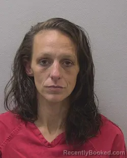 Booking photo from Lexington County, South Carolina