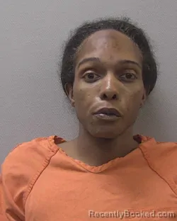 Booking photo from Lexington County, South Carolina