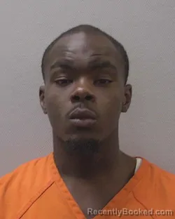 Booking photo from Lexington County, South Carolina