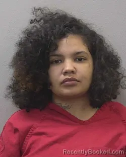 Mugshot of JAZZMINE NICOLE FERNANDEZ booked in Lexington County, South Carolina on June 10, 2026