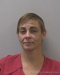 Mugshot of WENDY LEE SMITH booked in Lexington County, South Carolina on June 13, 2026