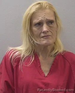 Mugshot of LESLIE ANN SAYLOR booked in Lexington County, South Carolina on June 15, 2026