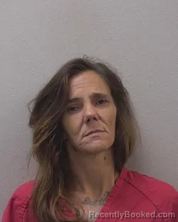 Mugshot of HEATHER RENEE WHEELER booked in Lexington County, South Carolina on June 15, 2026