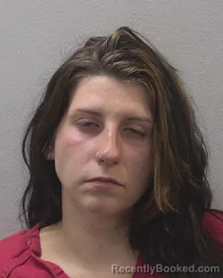 Mugshot of BRITTANY MORGAN DRAFTS booked in Lexington County, South Carolina on July 11, 2026