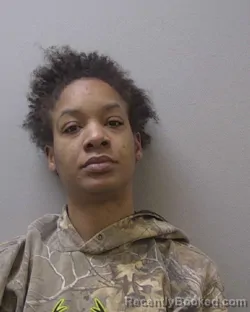 Mugshot of BRIA RENEE MCTEER booked in Lexington County, South Carolina on July 14, 2026