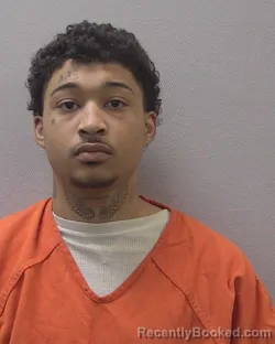 Booking photo from Lexington County, South Carolina