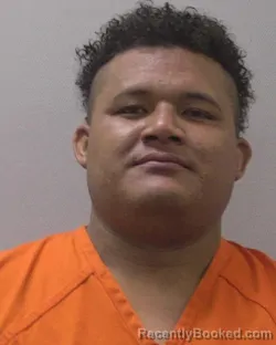 Mugshot of ROMAN &nbsp; MARICHE IBARRA booked in Lexington County, South Carolina on July 16, 2026