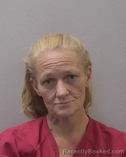 Mugshot of AMANDA DIANE MARTIN booked in Lexington County, South Carolina on July 20, 2026