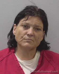 Mugshot of MAVIS LOUISE JONES booked in Lexington County, South Carolina on July 17, 2026