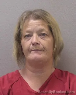 Mugshot of AMY GREER SMITH booked in Lexington County, South Carolina on July 19, 2026
