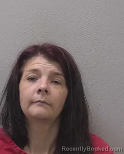 Mugshot of JENNIFER ANN JOHNSON booked in Lexington County, South Carolina on July 20, 2026