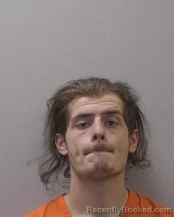 Mugshot of MICHAEL ALEXANDER COMER booked in Lexington County, South Carolina on July 22, 2026