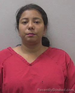 Mugshot of MELBA ALEJANDRINA SALINAS-LOPEZ booked in Lexington County, South Carolina on July 22, 2026