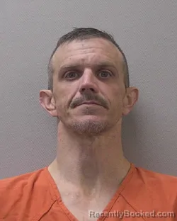 Mugshot of DAVID ANTHONY SHEEHAN booked in Lexington County, South Carolina on July 24, 2026