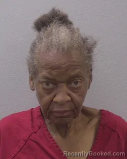 Mugshot of JUNE &nbsp; STROTHER booked in Lexington County, South Carolina on July 24, 2026