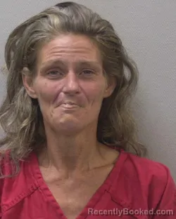 Mugshot of Ada Lucinda Brubaker booked in Lexington County, South Carolina on September 16, 2026