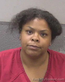 Mugshot of ANGELICA KIZZIE MARIE EASTMAN booked in Lexington County, South Carolina on August 1, 2026