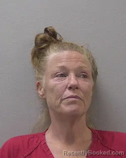 Mugshot of Amanda Rae Harter booked in Lexington County, South Carolina on September 10, 2026