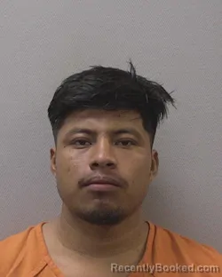 Mugshot of DAVID ALFREDO DOMINGO booked in Lexington County, South Carolina on August 1, 2026