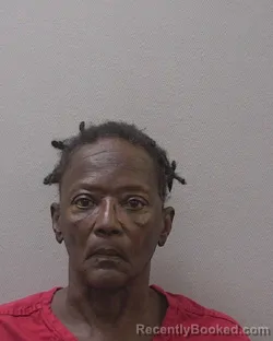 Mugshot of Doris Ellis booked in Lexington County, South Carolina on August 24, 2026