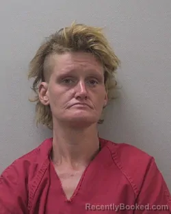 Mugshot of DEANNE JOAN MCCOSKER booked in Lexington County, South Carolina on July 28, 2026