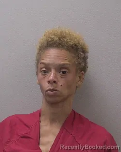 Mugshot of GENA AUTRY RENEE SMITH booked in Lexington County, South Carolina on August 2, 2026