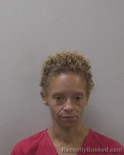 Mugshot of Gena Autry Renee Smith booked in Lexington County, South Carolina on August 16, 2026