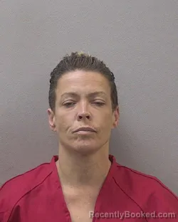 Mugshot of Heather Denise Harmon booked in Lexington County, South Carolina on September 17, 2026