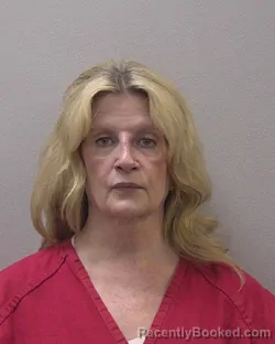 Mugshot of Judith Lee Hawking booked in Lexington County, South Carolina on September 17, 2026