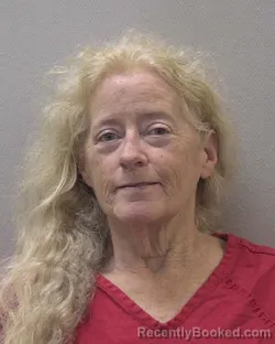 Mugshot of Joan Markey Hudson booked in Lexington County, South Carolina on September 5, 2026